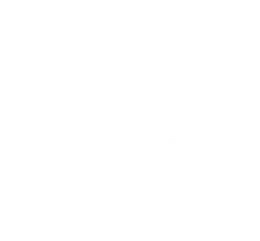 Life Fellowship